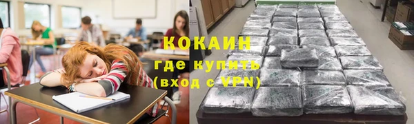 винт Гусев