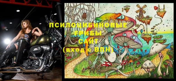 хмурый Гусиноозёрск