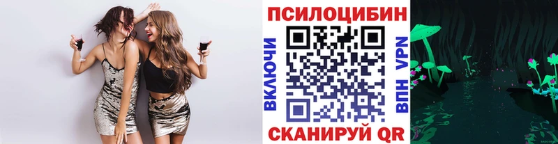 Псилоцибиновые грибы прущие грибы  ОМГ ОМГ ССЫЛКА  Иланский  купить  